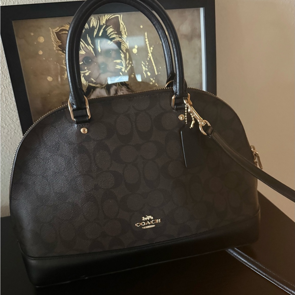EUC Coach hand bag